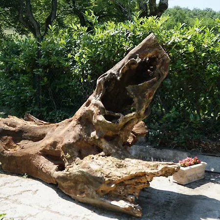 Agriturismo Riserva Del Re Feriegård